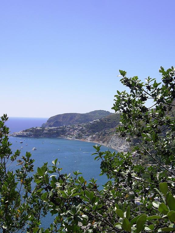 Hotel San Giovanni Terme Ischia Esterno foto